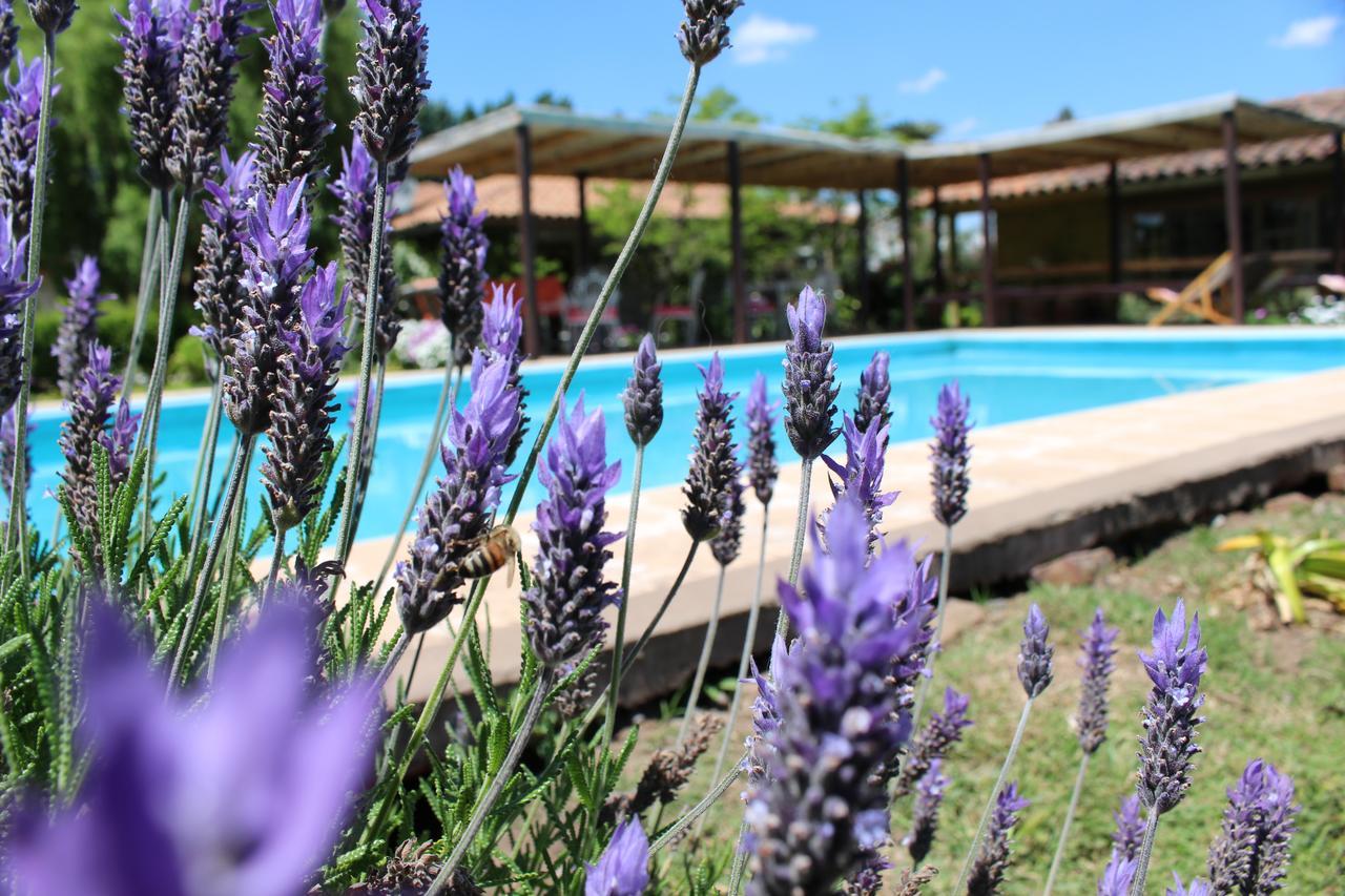 Hotel Hoja De Parra Santa Cruz Zewnętrze zdjęcie